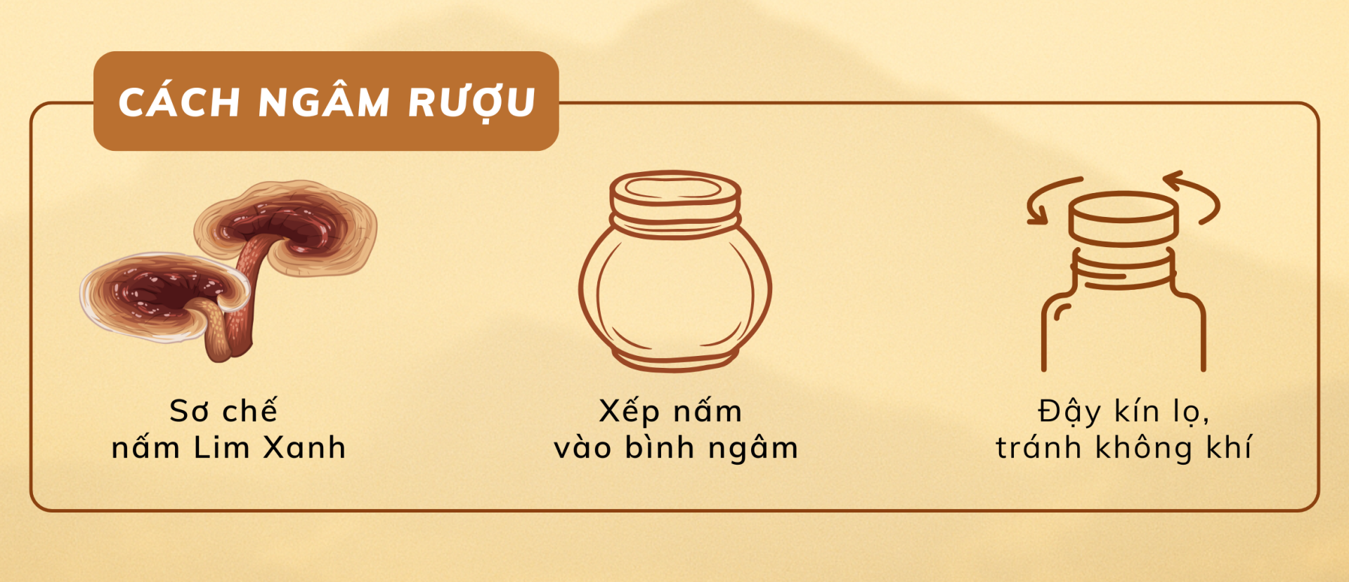 Cách sử dụng nấm Lim Xanh khô đúng - nấm lim xanh trimico